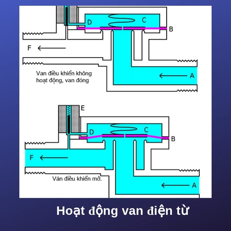 Công ty TNHH MLT Quỳnh Anh