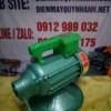 đầm dùi 1,1 việt nam